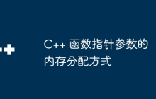 C++ 函数指针参数的内存分配方式