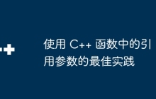 使用 C++ 函数中的引用参数的最佳实践