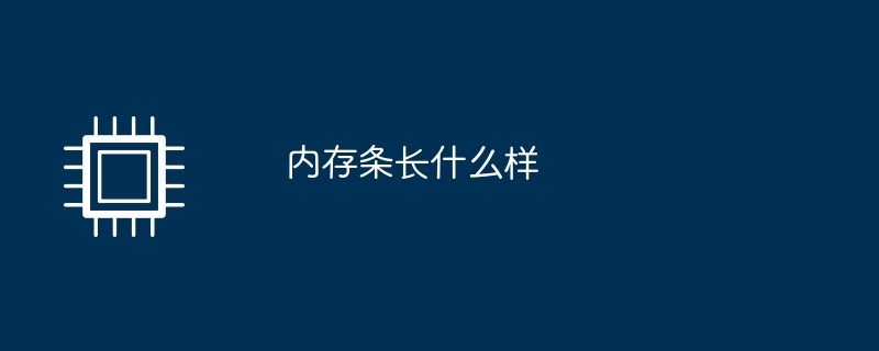 内存条长什么样