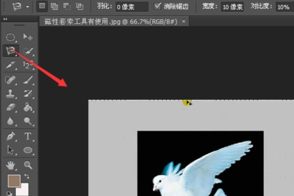 How to use ps lasso tool_how to use ps lasso tool