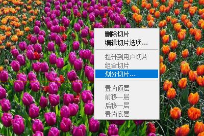 ps怎麼切圖_ps切圖教程