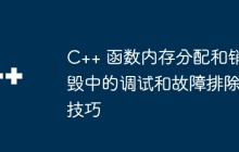 C++ 函数内存分配和销毁中的调试和故障排除技巧