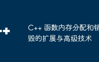 Extensions and advanced techniques for C++ function memory allocation and destruction