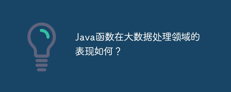 Java 関数はビッグ データ処理の分野でどのように機能しますか?