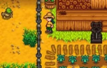 How to get the Stardew Valley Vault Collection Pack