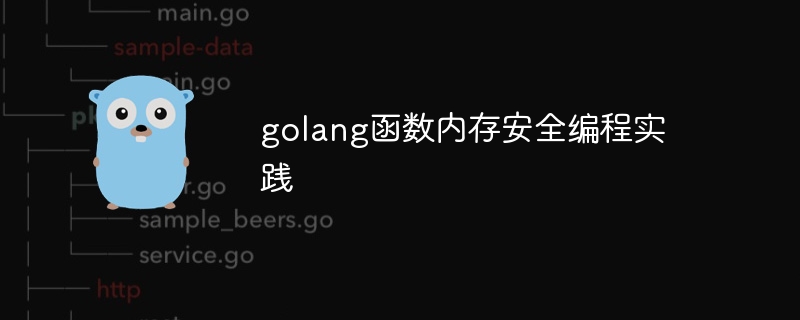 Golang 함수 메모리 안전 프로그래밍 실습