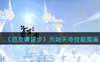 Fellow Taoist, please stay here. How about Yuanshi Tianzun? Fellow Taoist, please stay here. Introduction to the skills of Yuanshi Tianzun.