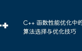 Algorithm selection and optimization techniques in C++ function performance optimization