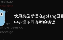 使用类型断言在golang函数中处理不同类型的错误
