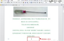 word文档插入图片的操作教程