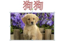 PPT怎么实现点一下出来一部分_动画效果了解下