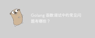 Golang 函数调试中的常见问题有哪些?