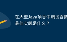 在大型Java项目中调试函数的最佳实践是什么？