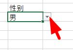 Excel のドロップダウン メニューですべて表示を設定する方法_Excel のドロップダウン メニューですべて表示を設定する方法