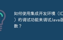 如何使用集成开发环境（IDE）的调试功能来调试Java函数？