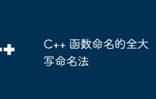 C++ 函数命名的全大写命名法