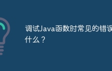 调试Java函数时常见的错误是什么？