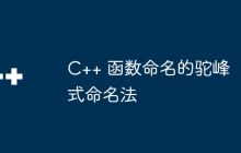 C++ 函数命名的驼峰式命名法