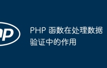 PHP 函数在处理数据验证中的作用