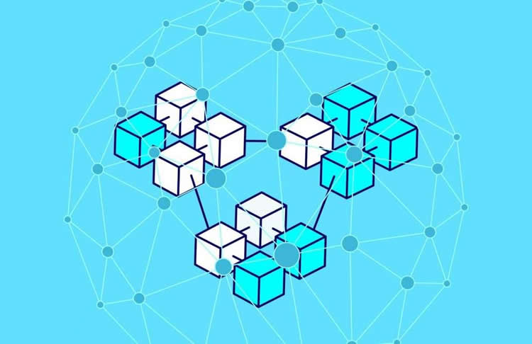 What are the blockchain architectures? What are the characteristics?