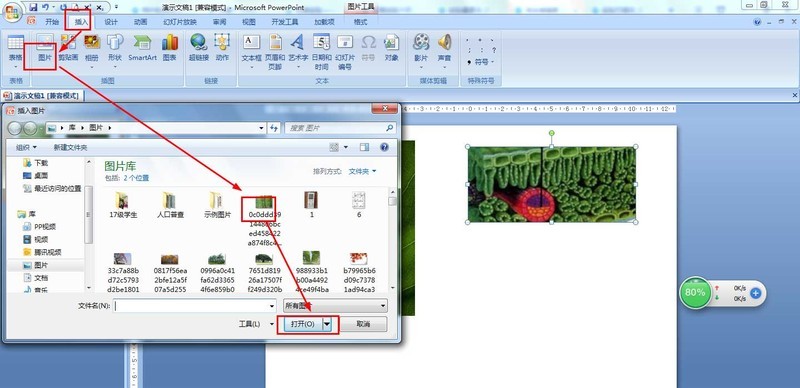 How to use PPT to draw leaf structure names diagram_PPT drawing leaf structure name diagram method tutorial