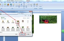 怎么使用PPT绘制树叶结构名称图解_PPT绘制树叶结构名称图解方法教程