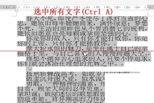 word字体放大后显示不完整的处理操作内容