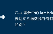 C++ 函数中的 lambda 表达式与函数指针有何区别?
