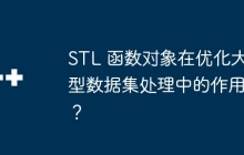 STL 函数对象在优化大型数据集处理中的作用?