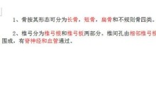 word制作填空题下划线的操作方法