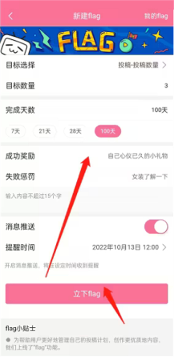 How to set submission flag on Bilibili