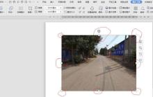 wps2019图片添加题注的操作方法
