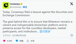 MetaMask 的开发商就以太坊被限制问题 起诉美国证券交易委员会（SEC）