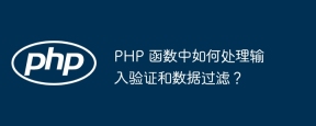 PHP 函数中如何处理输入验证和数据过滤?