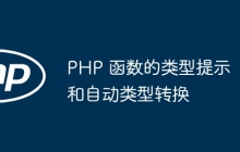 PHP 函数的类型提示和自动类型转换