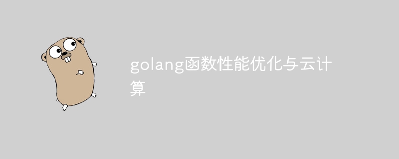 golang函数性能优化与云计算
