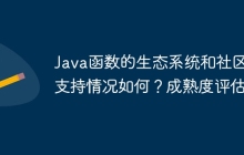 Java函数的生态系统和社区支持情况如何？成熟度评估