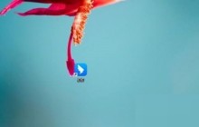 钉钉怎么开启钉钉搭_钉钉开启钉钉搭方法