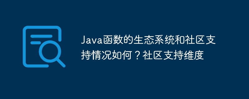 Java 기능에 대한 생태계 및 커뮤니티 지원은 어떻습니까? 커뮤니티 지원 차원