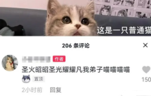 一铲子下去，《剑网3无界》将埋藏多年的“番薯”们挖了出来！