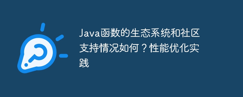 Java 기능에 대한 생태계 및 커뮤니티 지원은 어떻습니까? 성능 최적화 관행