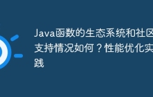 Java函数的生态系统和社区支持情况如何?性能优化实践