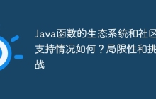 Java函数的生态系统和社区支持情况如何?局限性和挑战