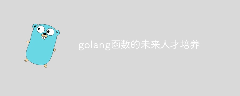 golang函數的未來人才培養