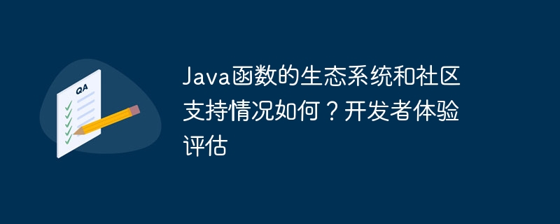 Java 기능에 대한 생태계 및 커뮤니티 지원은 어떻습니까? 개발자 경험 평가