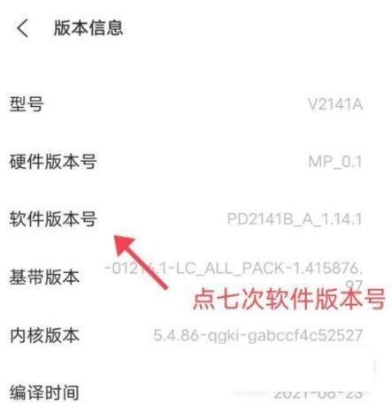 iQOO8Pro怎麼進入開發者模式_iQOO8Pro進入開發者模式教程