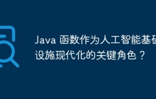 Java 函数作为人工智能基础设施现代化的关键角色？