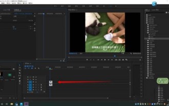 Premiere怎么制作星星发光效果_Premiere制作星星发光效果操作步骤