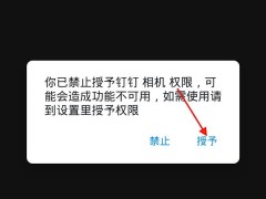 钉钉在线课堂怎么打开摄像头_钉钉在线课堂打开摄像头的方法