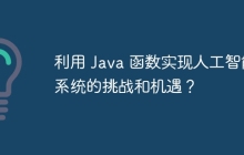 利用 Java 函数实现人工智能系统的挑战和机遇？